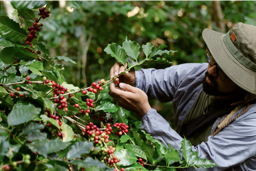 We nurture deep-rooted relationships